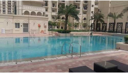 Swimming Pool Renovation Service